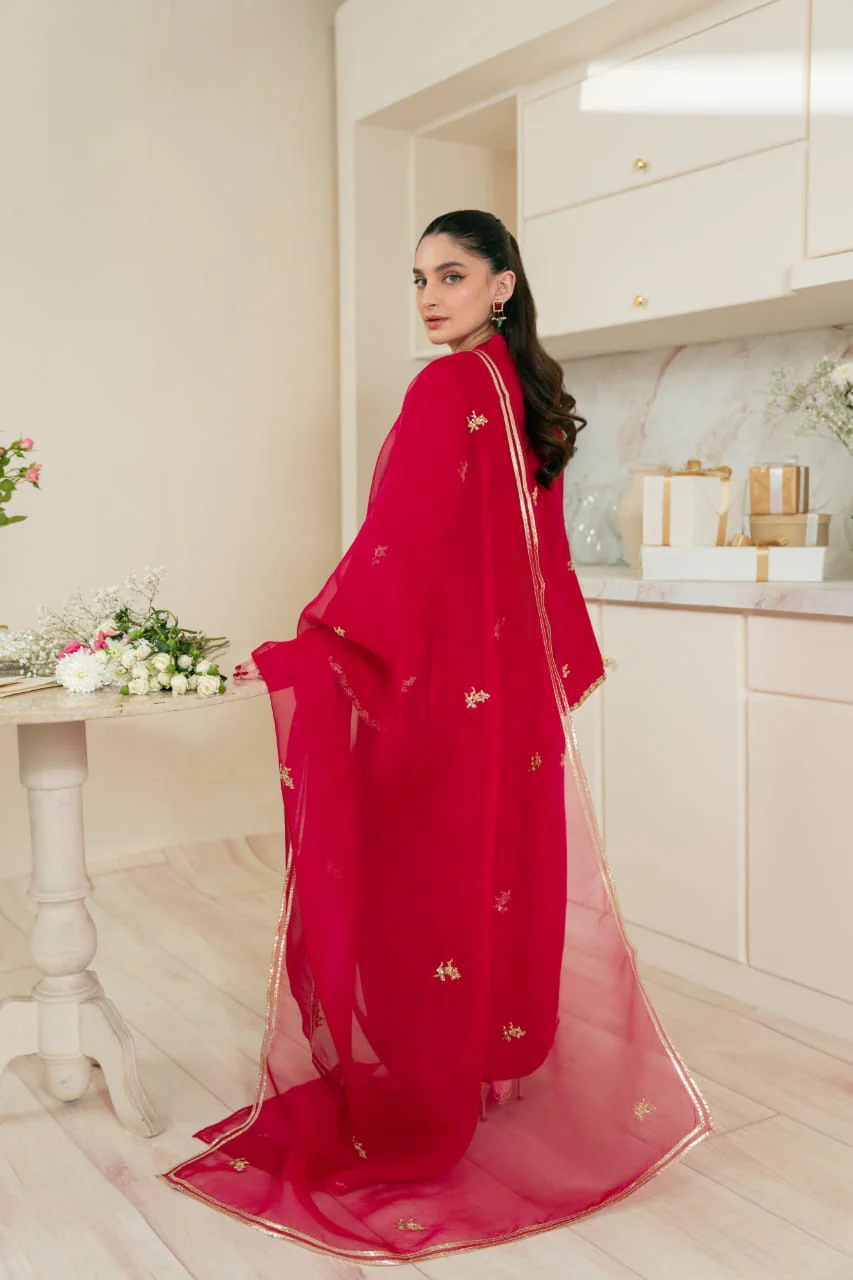 Ameena - Image 4
