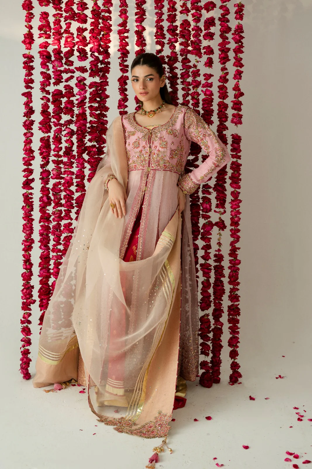 GulRukh - Image 5
