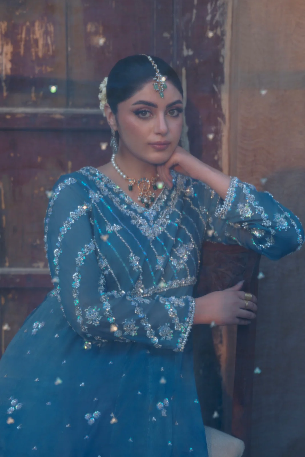 Roshan Ara - Image 6